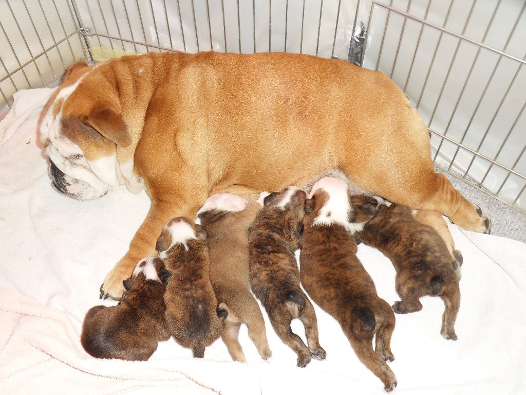 Mama bébé photos