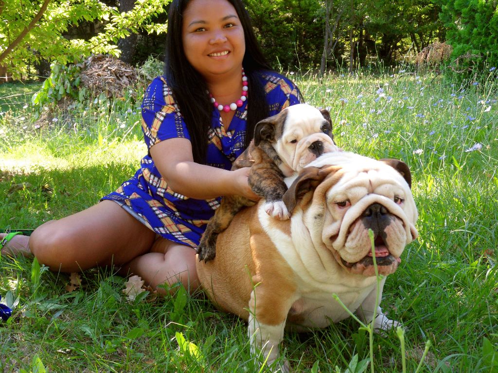 Bébé Bulldog Raymond 69 jours